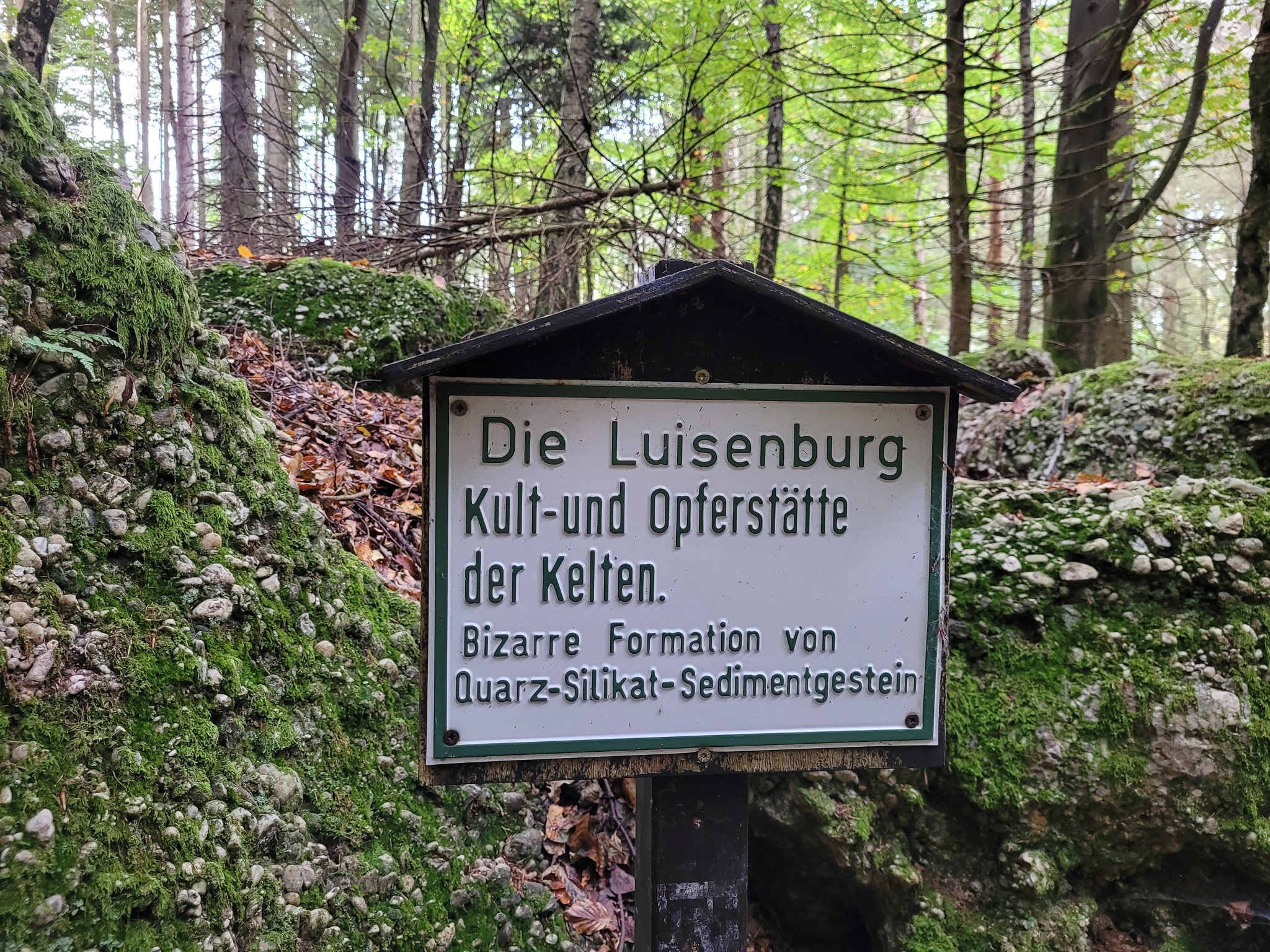 20231015113634 20231015 113634